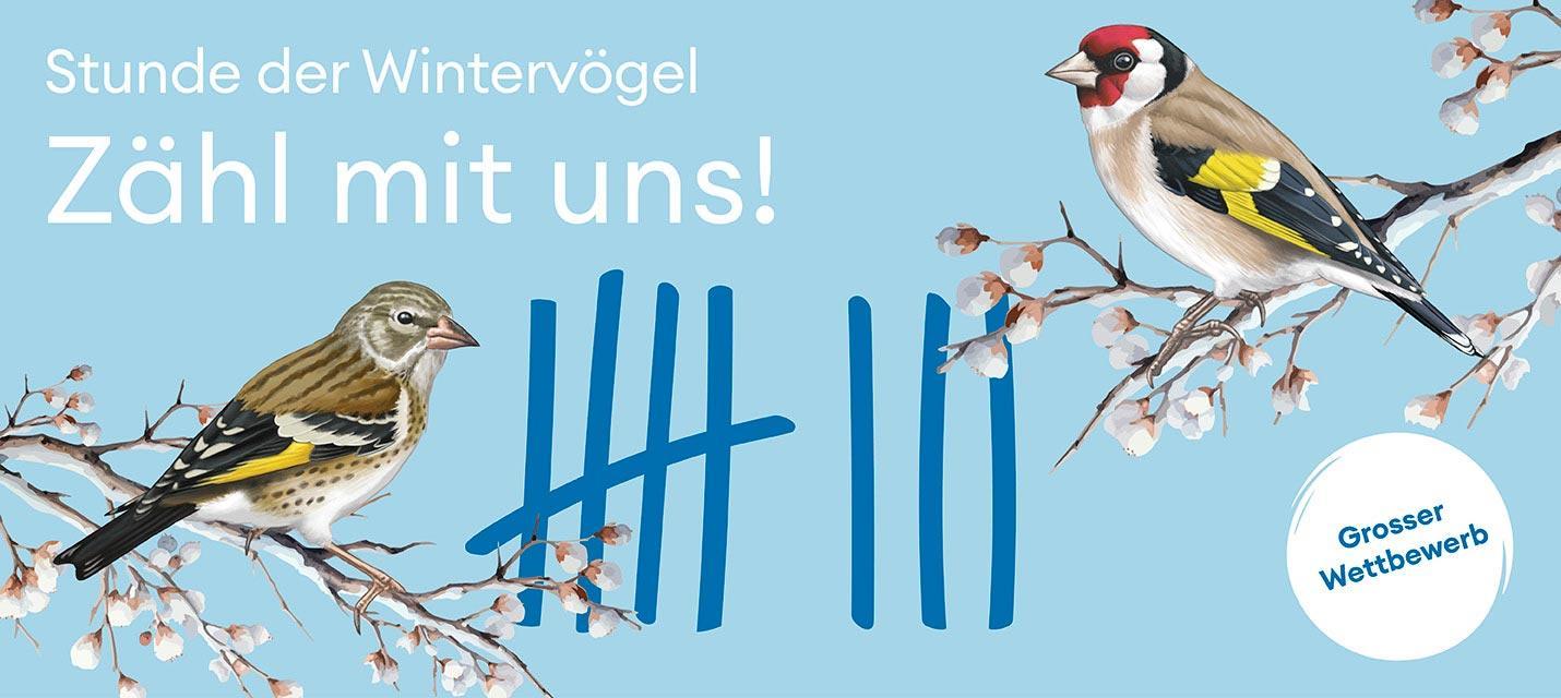 Stunde der Wintervögel