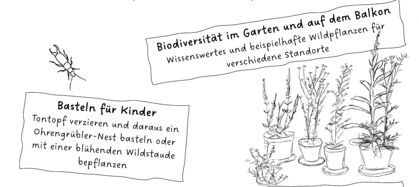 NVB: Tag der guten Tat 2024